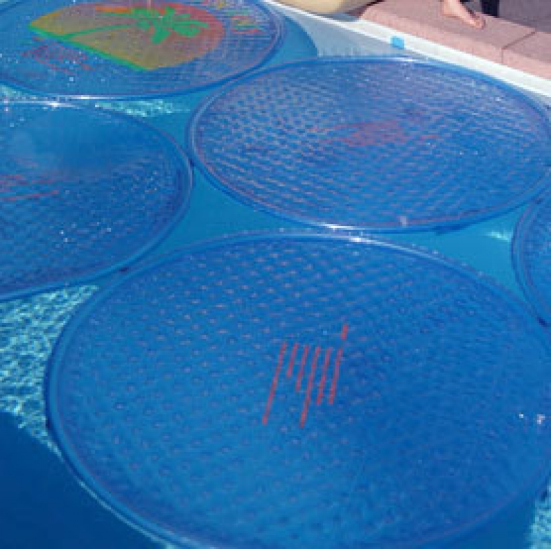 WaterFunShop - SOLAR SUN zwembadverwarming - solarsunring palm anker verwarming